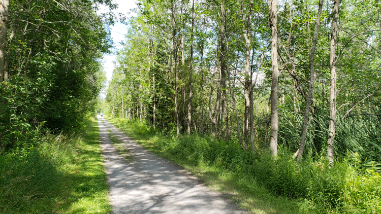 photo, image, rail trail, bike tours