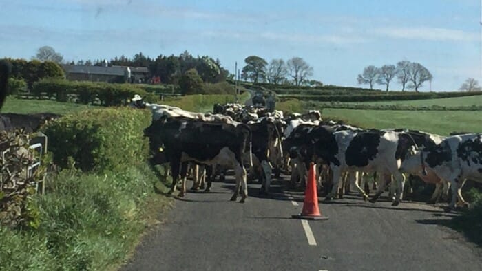 The entire tour takes about three hours including the ride by bus to and from the the starting point - unless, or course, you hit a traffic jam.