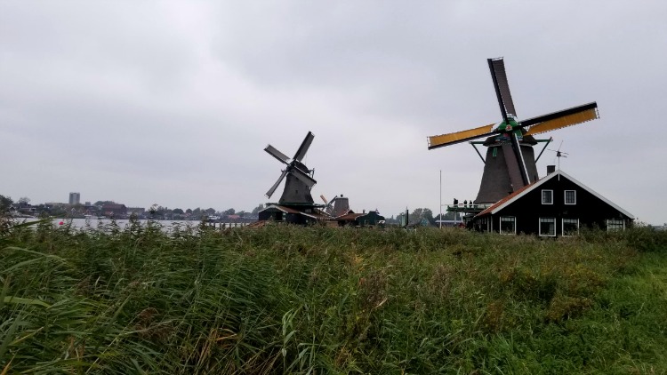 windmills, solo in amsterdam