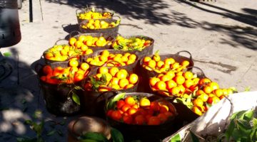 photo, image, fresh oranges, seville, andalucia