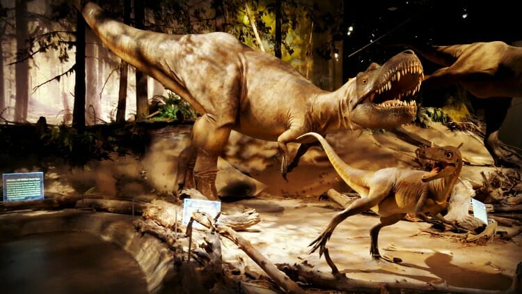 photo, image, royal tyrrell museum, dinosaur, canadian badlands