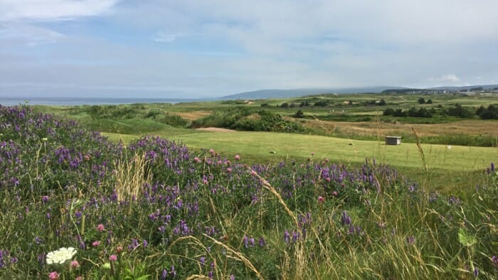 Cabot Links Golf Course where every hole is on the sea.