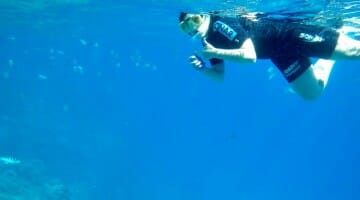 photo, image, snorkelling, great barrier reef, cairns, australia