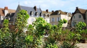 photo, image, houses, Chartres