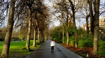 photo, image, st, stephen's green, exploring ireland