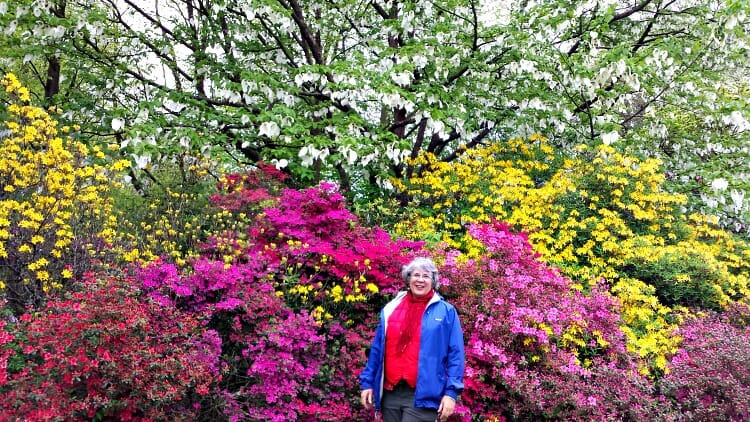 photo, image, flowers, hampstead heath, solo adventure