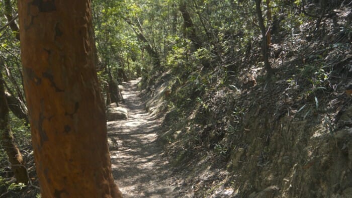 hiking the blue mountains