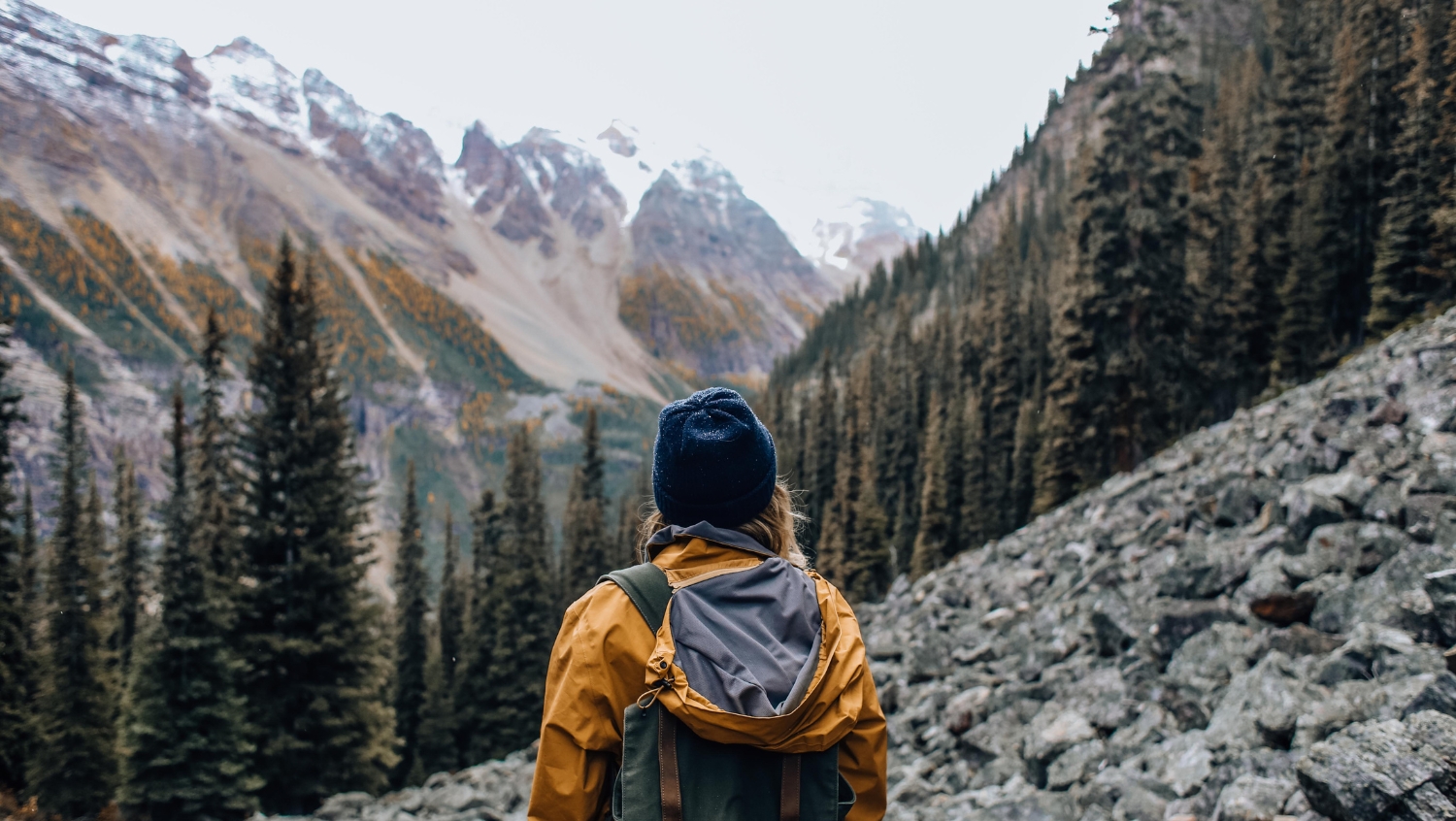 Hiker in the mountains