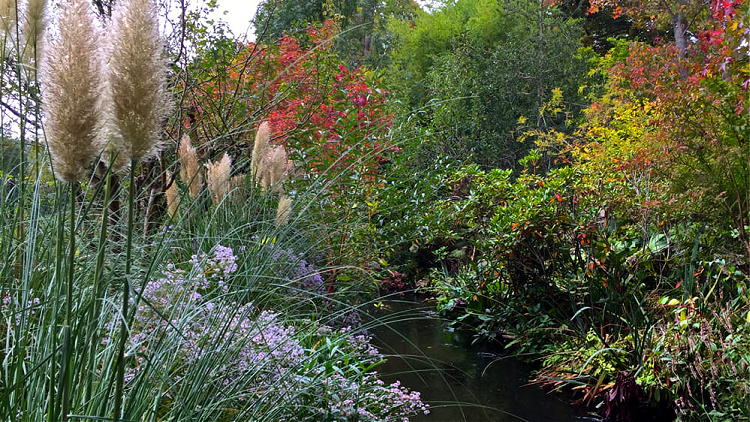 monet's garden