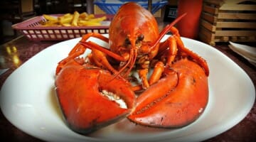 photo, image, lobster, hall's harbour, flavors of nova scotia