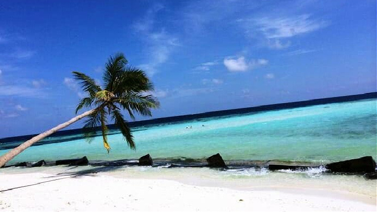 beach at Maafushi Kaafu Atoll, Maldives, taken by a solo traveler on a beach vacation