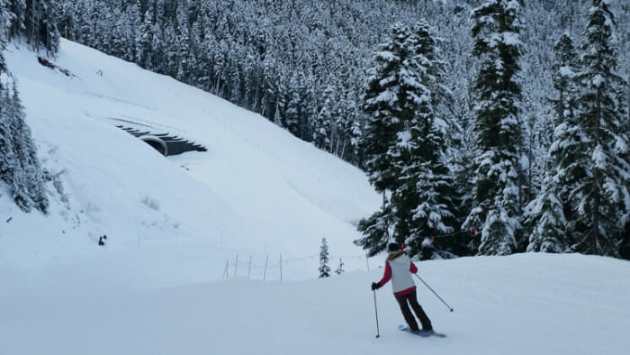 Here I'm practicing my new technique on a fairly gentle slope. Photo credit to Jody from Shrewsbury who I met going up on the Emerald Chair.