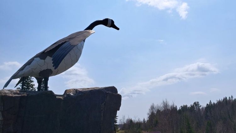 The famous Wawa Goose